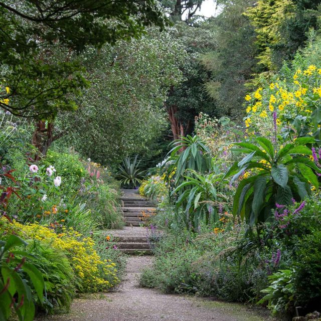 National Botanic Garden of Ireland – Kilmacurragh